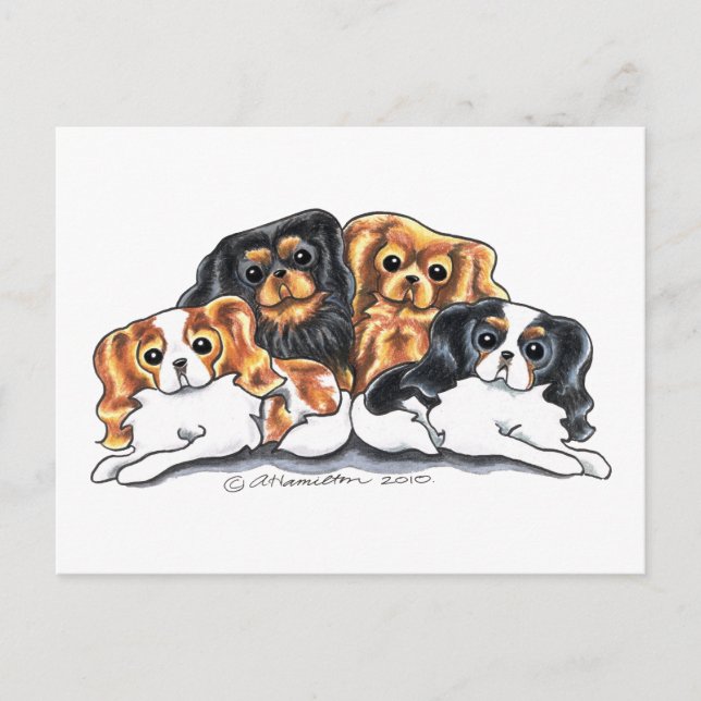 Vier CKCS Postkarte (Vorderseite)