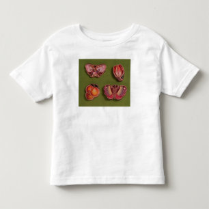 Vier emailliert und jewelled Kästen, Schmetterlin Kleinkind T-shirt