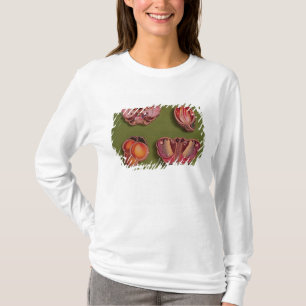 Vier emailliert und jewelled Kästen, Schmetterlin T-Shirt
