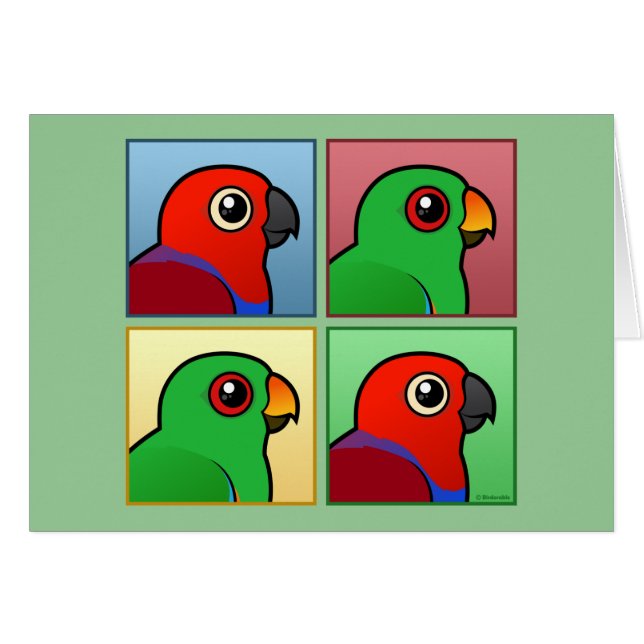 Vier Farbe Eclectus (Vorderseite (Horizontal))
