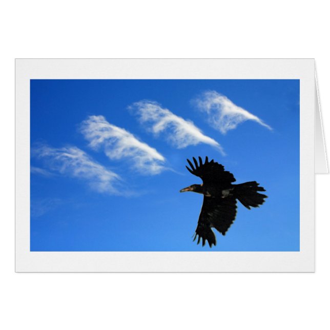 Vier Feathers (Vorderseite (Horizontal))