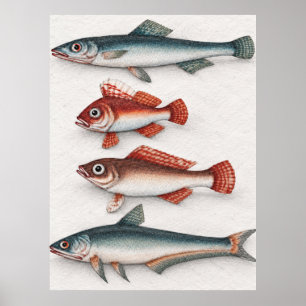 Vier-Fisch-Meeresillustrationsposter Poster