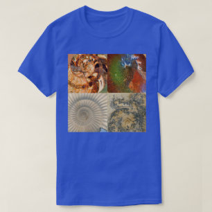 Vier Fossile Ammonit-Makromontage T-Shirt