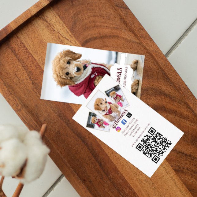 Vier Foto Petfluencer Visitenkarte (Four Photo Petfluencer Business Card)