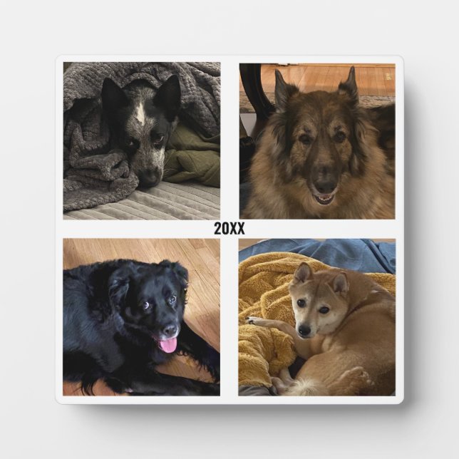 Vier Foto Standauflage Fotoplatte (Vorderseite)