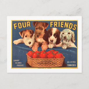 Vier Freunde Vintage Tomatenkassettenhunde Postkarte
