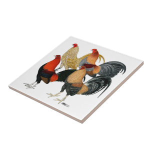 Vier Gamecocks Fliese