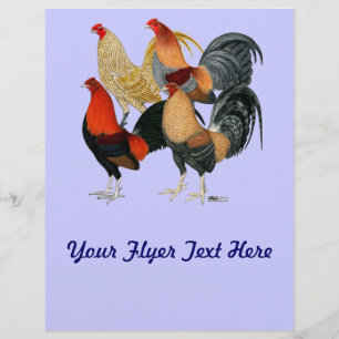 Vier Gamecocks Flyer