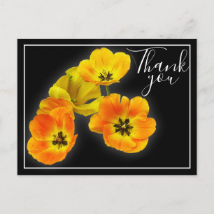Vier gelbe orange Tulpen schwarzer Hintergrund Dan Postkarte