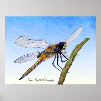 Vier-Gepunktete Chaser Dragonfly Wasserfarbenposte Poster
