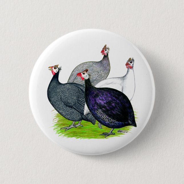 Vier Guinea Button (Vorderseite)