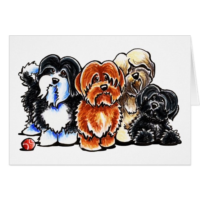 Vier Havanese (Vorderseite (Horizontal))
