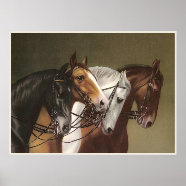 VIER HORSES Fine Art Poster (Vorne)