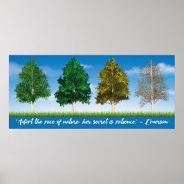 Vier Jahreszeiten Aspen Trees Poster