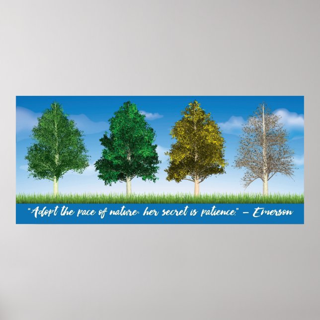 Vier Jahreszeiten Aspen Trees Poster (Vorne)