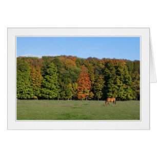 vier Jahreszeiten in Karte Michigans 09