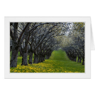 Vier Jahreszeiten in Michigan 02 Karte