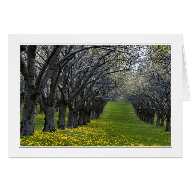 Vier Jahreszeiten in Michigan 02 Karte (Vorderseite (Horizontal))