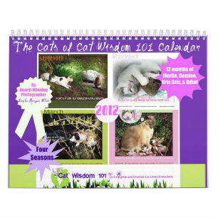 Vier Jahreszeiten von Katzen-Klugheit 101 Kalender