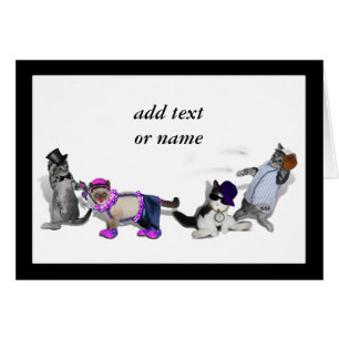 Vier Kätzchen im Spiel