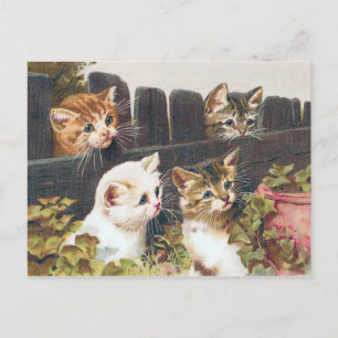 "Vier Kätzchen" Vintage Postkarte