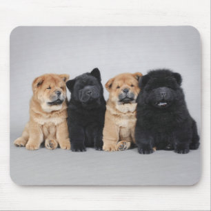Vier kleine Chow Chow Welpen Mousepad