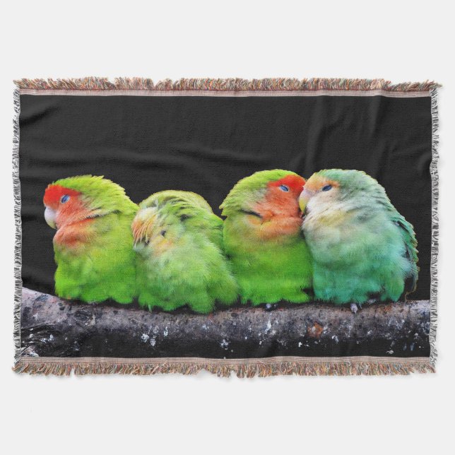 Vier kleine Kanaren Decke (Vorderseite)