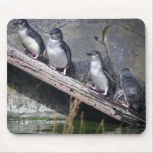 Vier kleine Pinguine Mousepad