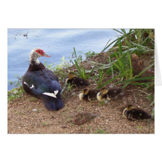 Vier-Liter-Entenlein