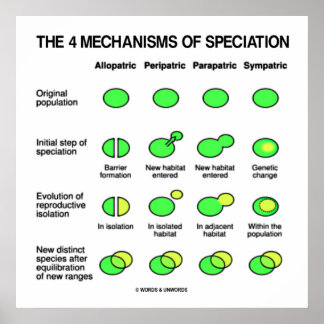 Vier Mechanismen der Spezialisierung Evolution Poster