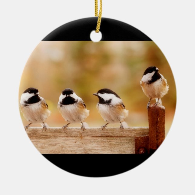 Vier niedliche Chickadees Keramikornament (Vorne)