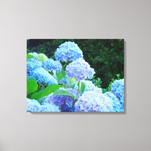 Vier Panle Leinwand druckt Blaue Hydrangeas