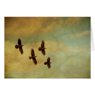 Vier Raben-Fliegen