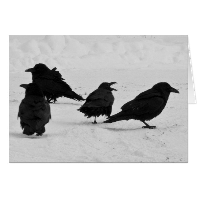 Vier Ravens (Vorderseite (Horizontal))