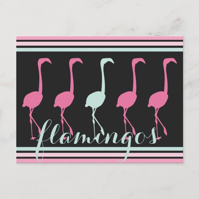 Vier rosa Flamingos ein helles Blau Postkarte (Vorderseite)