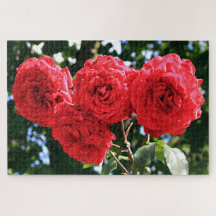 Vier rote Rosen Blume im Garten Puzzle