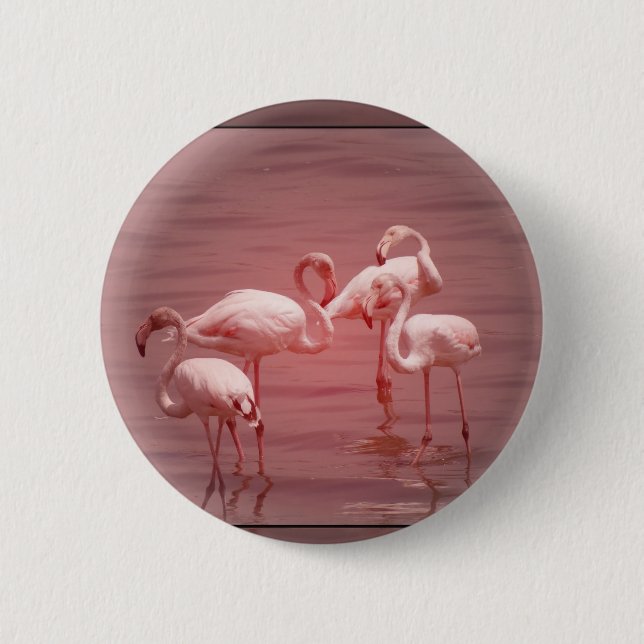 Vier scharende Flamingos Button (Vorderseite)