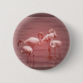 Vier scharende Flamingos Button