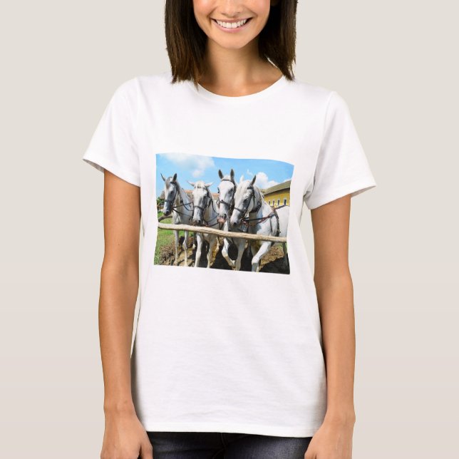 Vier schöne Pferde Tier T-Shirt (Vorderseite)