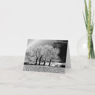 Vier Schwestern Karte