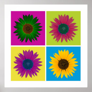 Vier Sonnenblumen in Farbplakat Poster