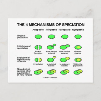 Vier Spezialisierungsmechanismen (Evolution) Postkarte