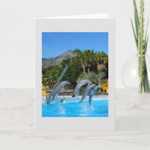 Vier springende Delphine Feiertagskarte