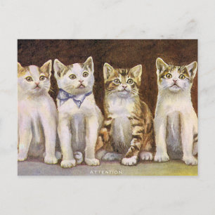 Vier süße Kätzchen Vintage-Illustration Postkarte