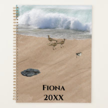 Vier Vögel am Strand