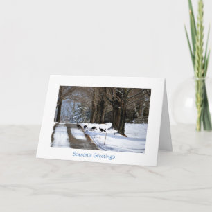 Vier wilde Truthähne - Feiertags-Karte Feiertagskarte