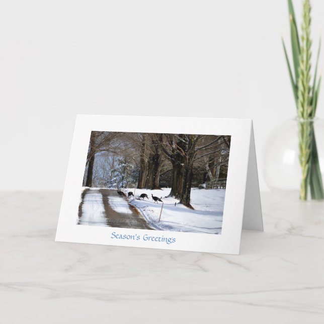 Vier wilde Truthähne - Feiertags-Karte Feiertagskarte (Vorderseite)