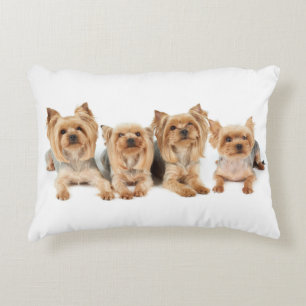 Vier yorkies dekokissen