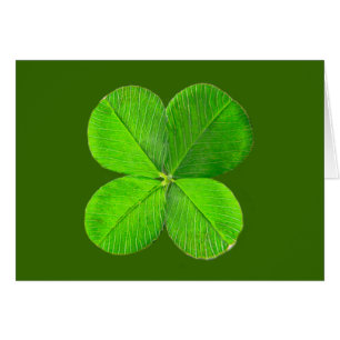 vierblättriges Kleeblatt der MUSEUM Zazzle Geschen