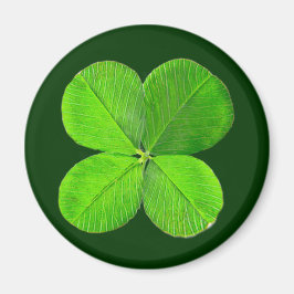 vierblättriges Kleeblatt der MUSEUM Zazzle Geschen Magnet